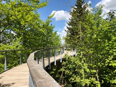 Ausflugsziel: Baumwipfelpfad Neckertal