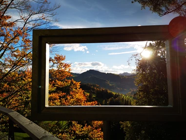 Ausflugsziel: Baumwipfelpfad Neckertal