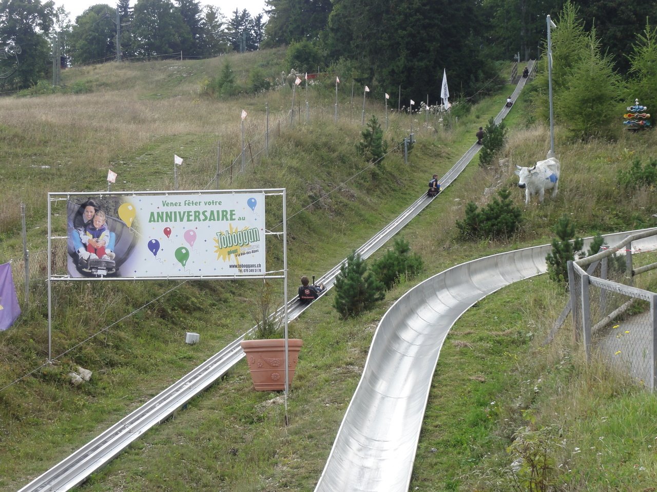 Ausflugsziel: Riesen-Rodelbahn