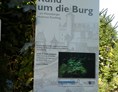 Ausflugsziel: Burgruine Waxenberg