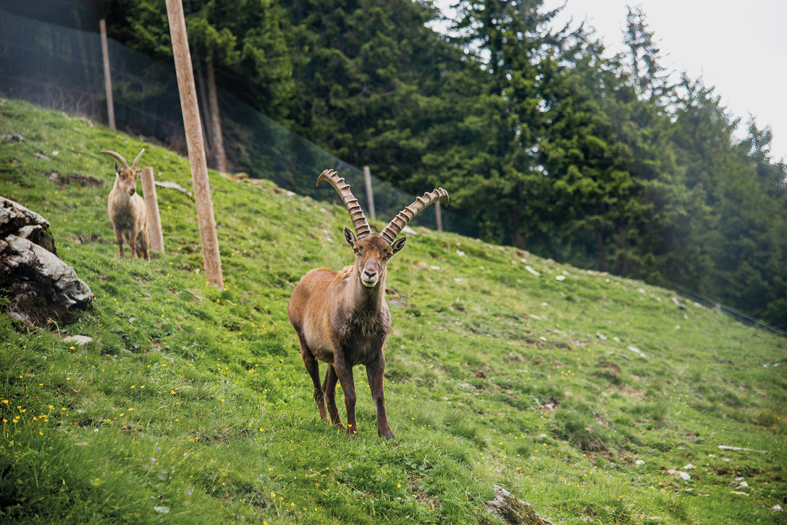 Ausflugsziel: NEU: Wildlife Trail