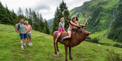 Ausflug mit Kindern - Oberndorf in Tirol - NEU: Wildlife Trail