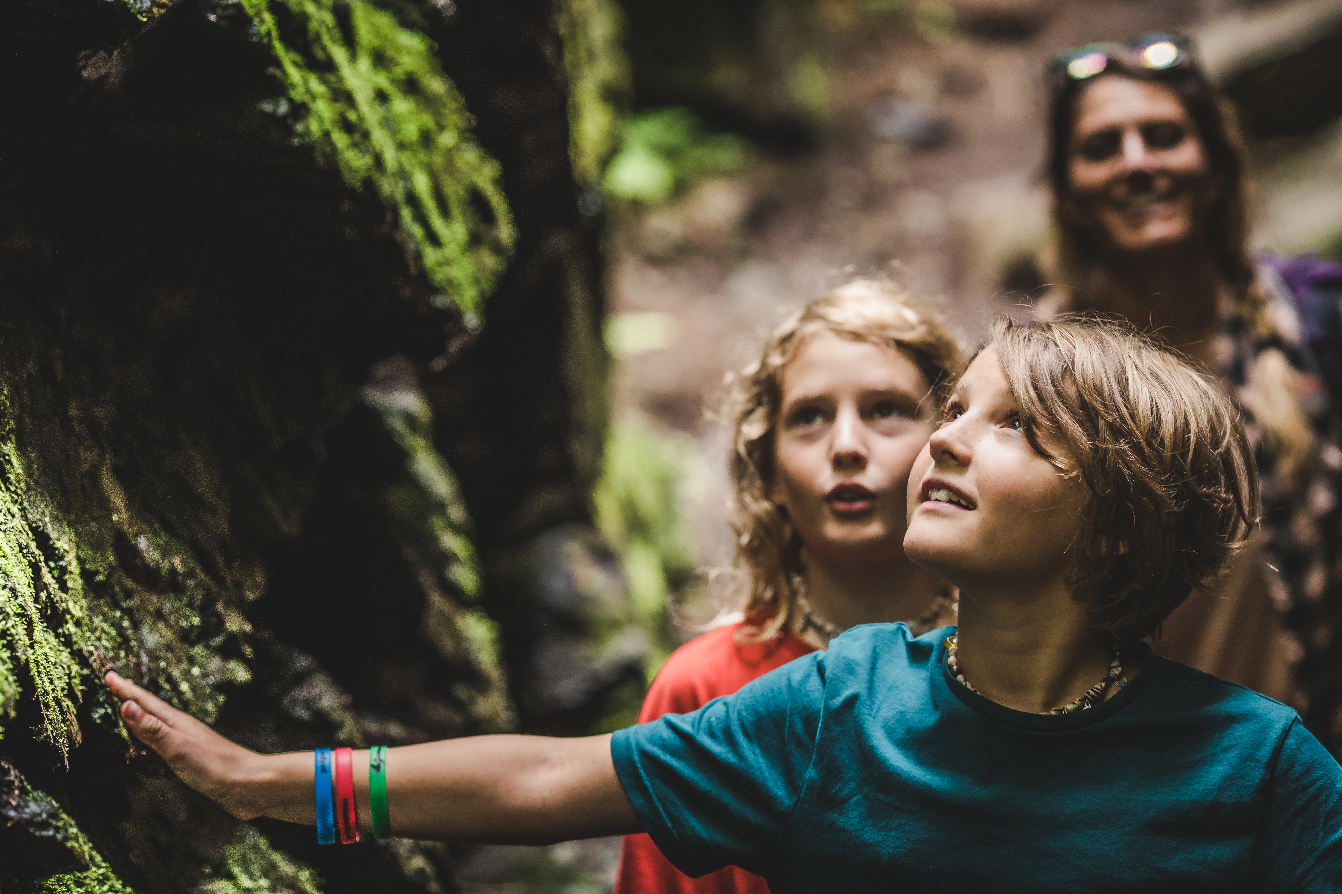 Ausflugsziel: Berg Kodok