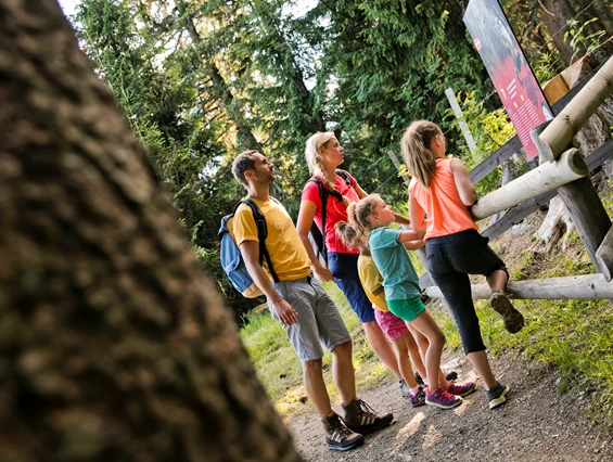 Ausflugsziel: Expedition Kodok