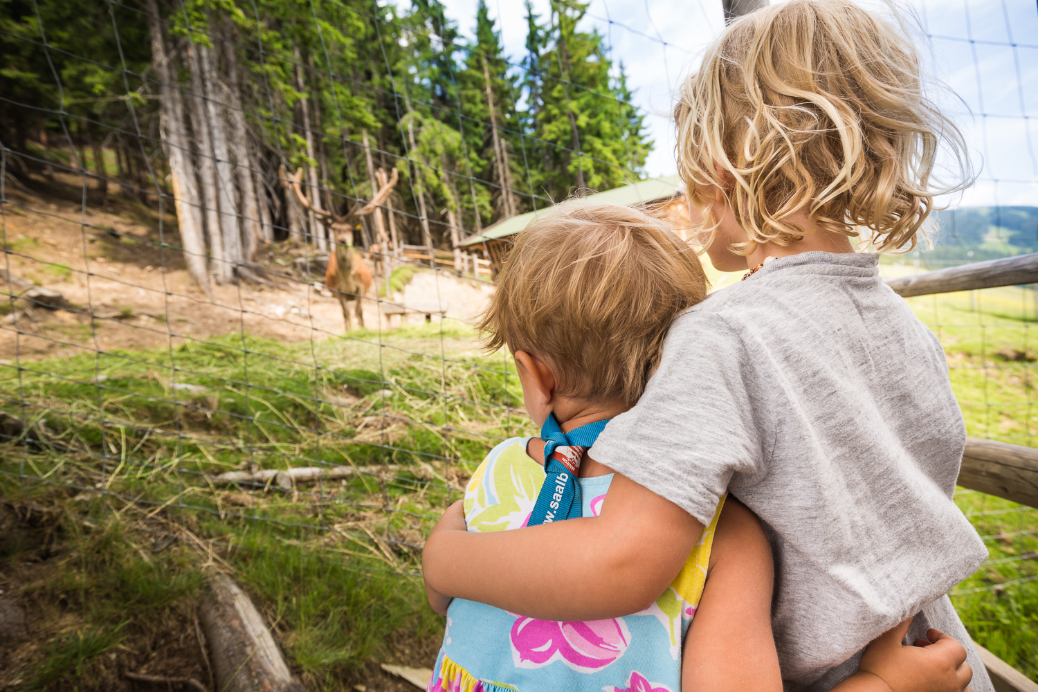 Ausflugsziel: Montelino's Wildfütterung