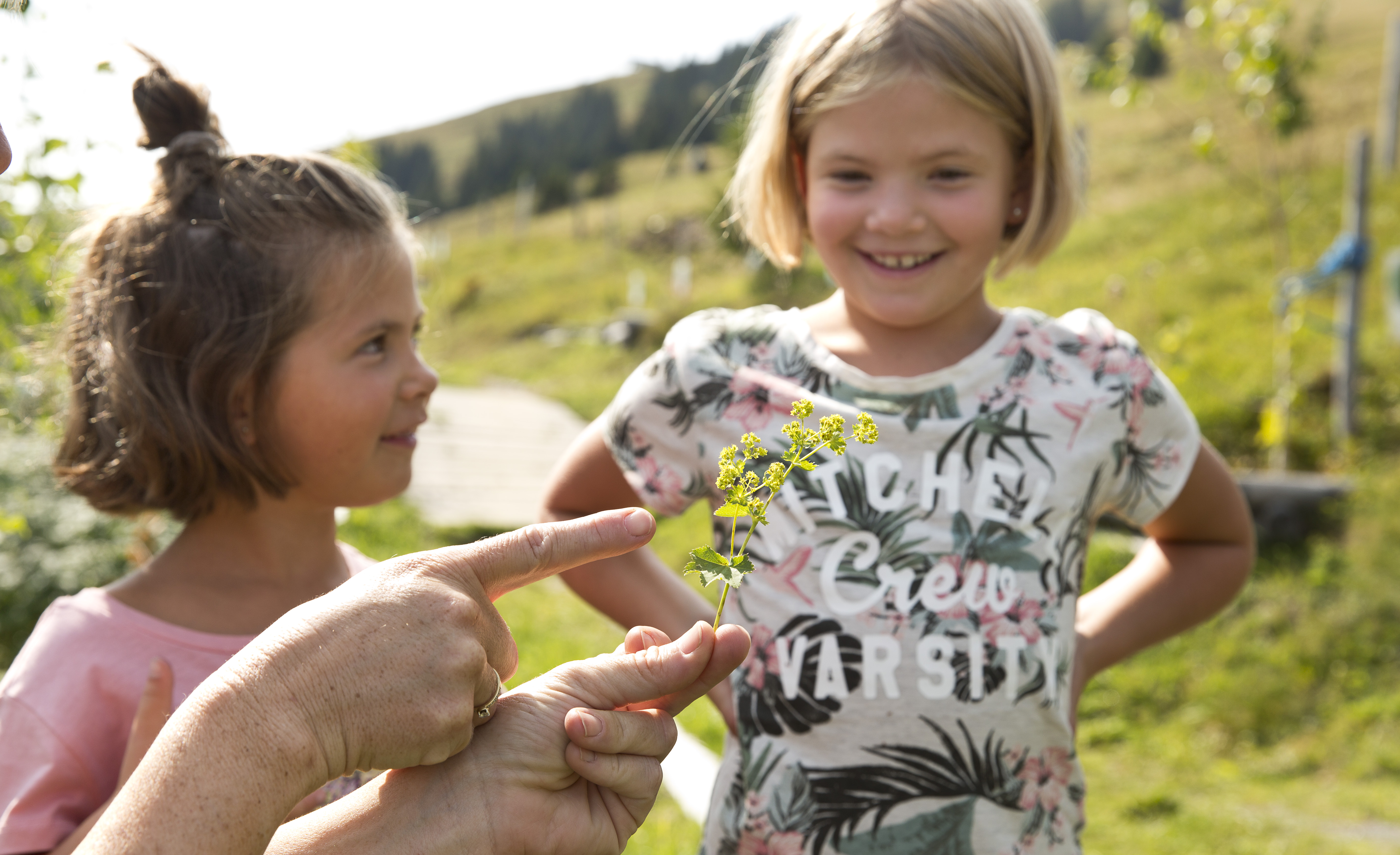 Trip with children - Alter der Kinder: 2 bis 4 Jahre - Bad Hofgastein - Heilkräuterweg
