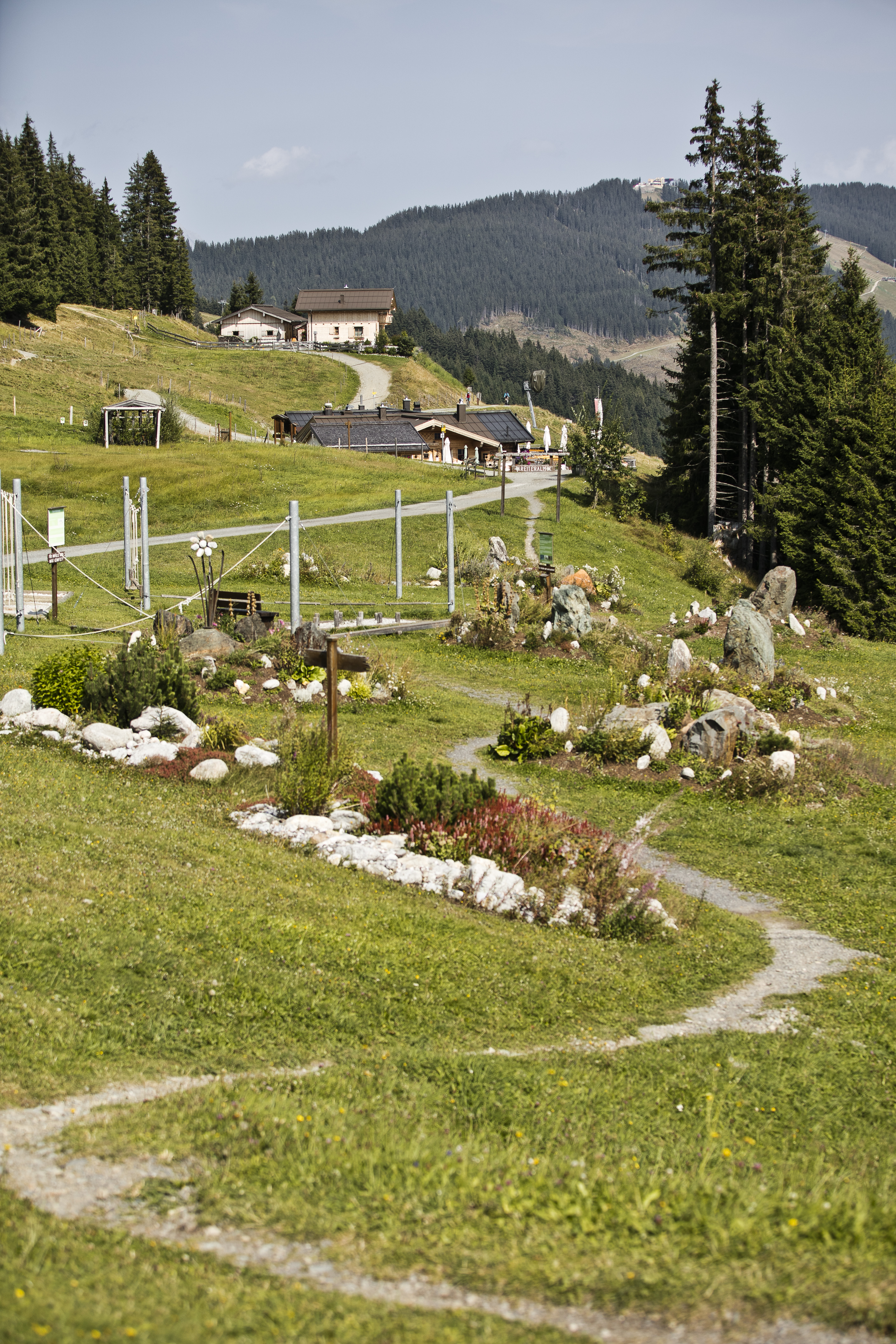 Trip with children - Alter der Kinder: 2 bis 4 Jahre - Bad Hofgastein - Heilkräuterweg