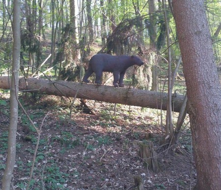 Ausflugsziel: BSV Franziskushof
