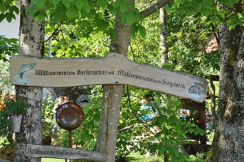 Ausflugsziel: Eingang zum Mühlenmuseum das Einblick in das Leben von anno dazumal gibt. - Forellenzirkus