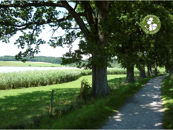 Ausflugsziel: Egglburger Weiherkette