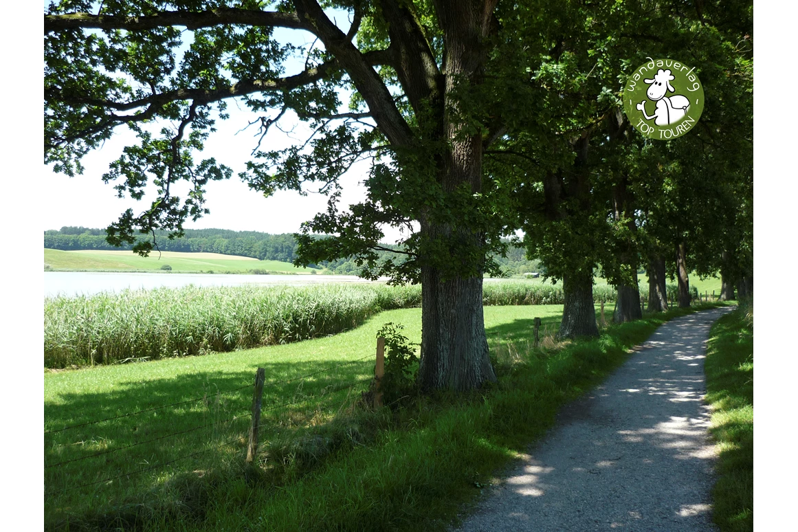 Ausflugsziel: Egglburger Weiherkette