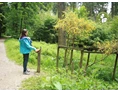 Ausflugsziel: Walderlebnispfad in Freising