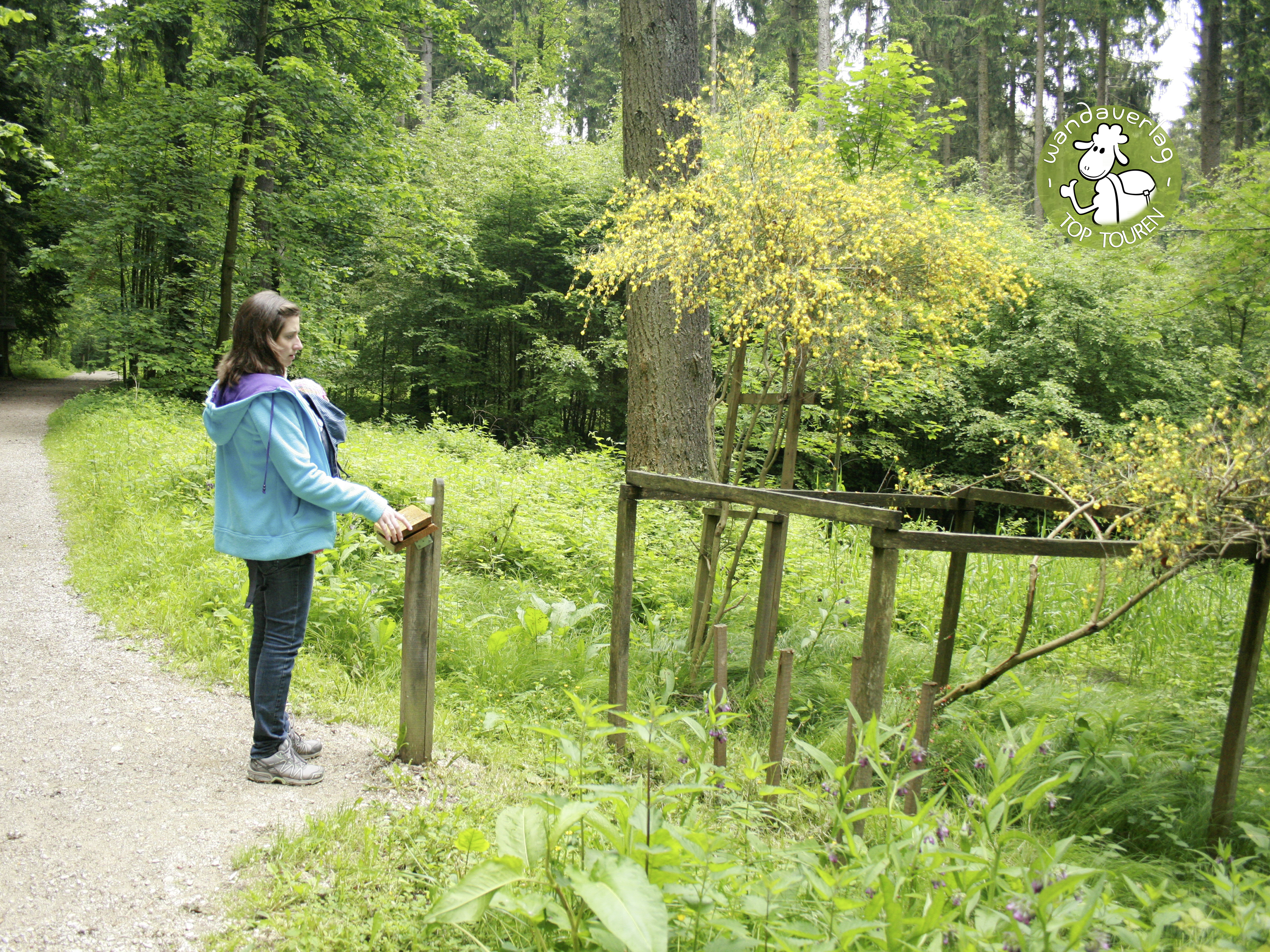 Ausflugsziel: Walderlebnispfad in Freising