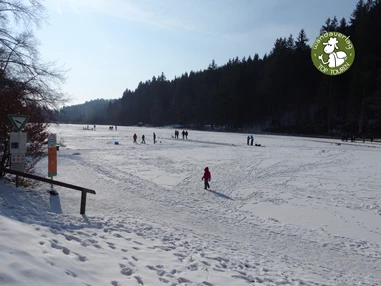 Ausflugsziel: Weiherwege am Moor in Deining