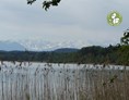 Ausflugsziel: Stille am Starnberger See in Bernried