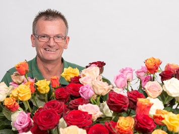 Blumen Bergmoser Erlebnisgärtnerei  Highlights beim Ausflugsziel Besichtigung Rosenkultur 