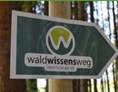 Ausflugsziel: Wald Wissens Weg und Waldspielplatz Obertrum am See 
