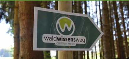 Ausflugsziel: Wald Wissens Weg und Waldspielplatz Obertrum am See 