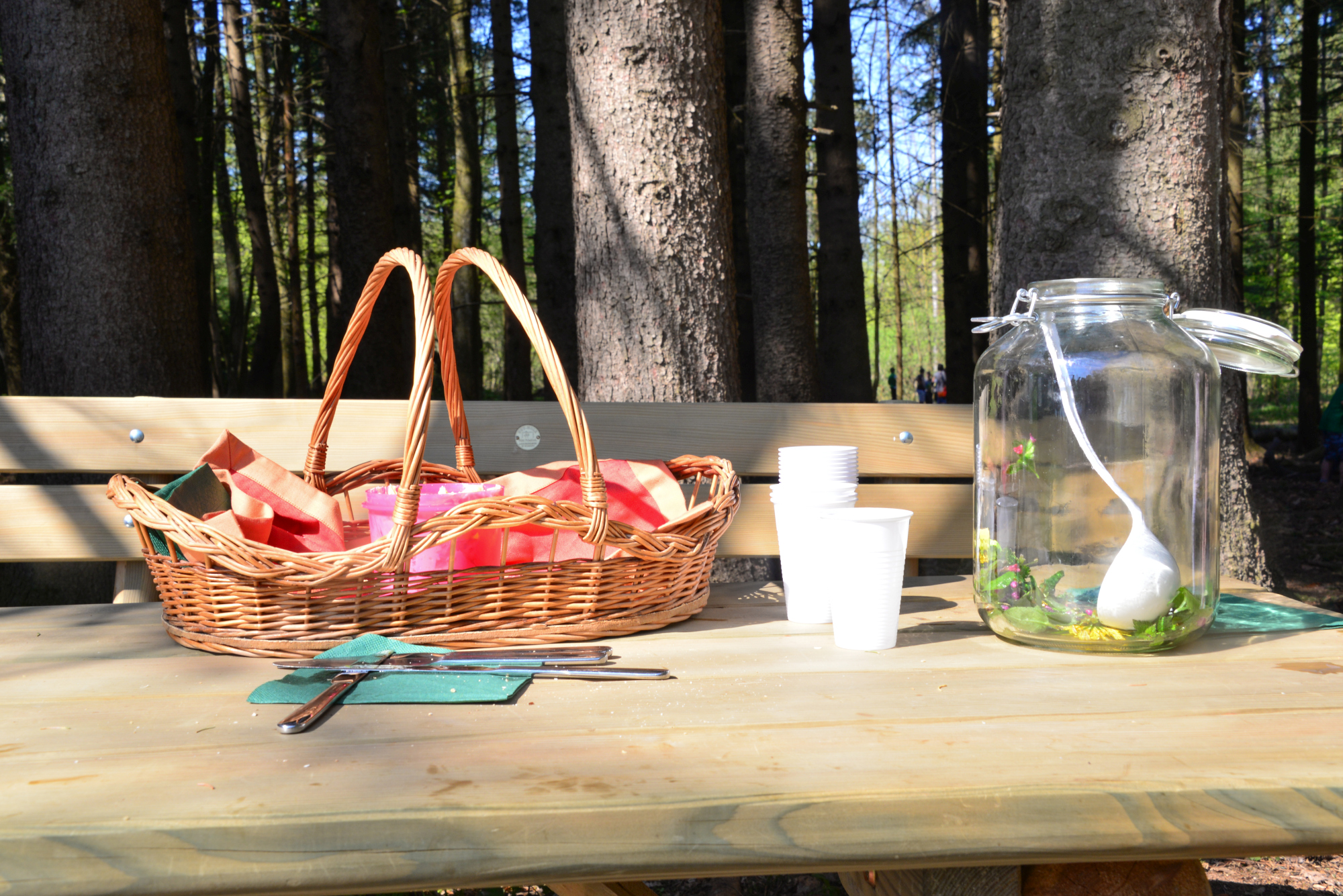 Ausflugsziel: Wald Wissens Weg und Waldspielplatz Obertrum am See 