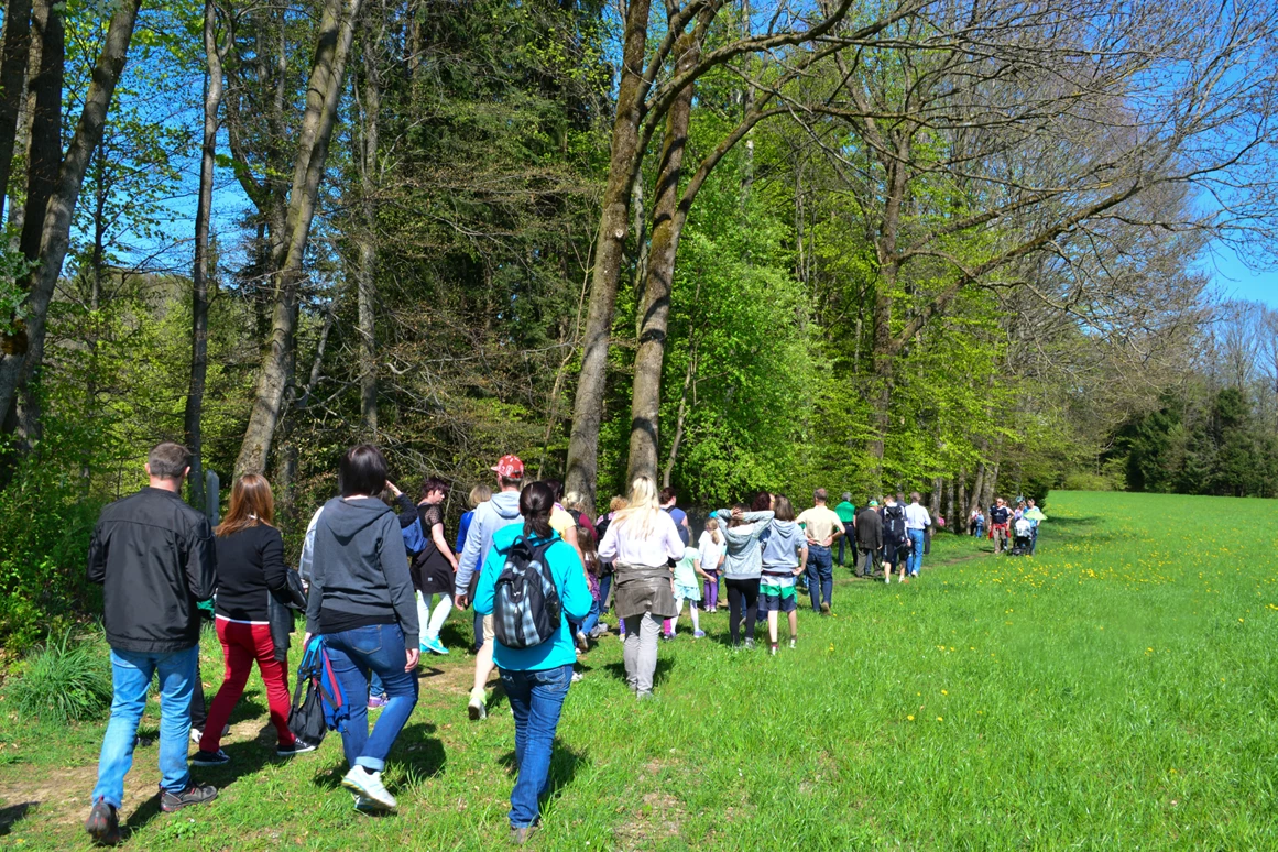 Ausflugsziel: Wald Wissens Weg und Waldspielplatz Obertrum am See