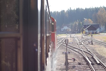 Ausflugsziel: Wackelstein-Express