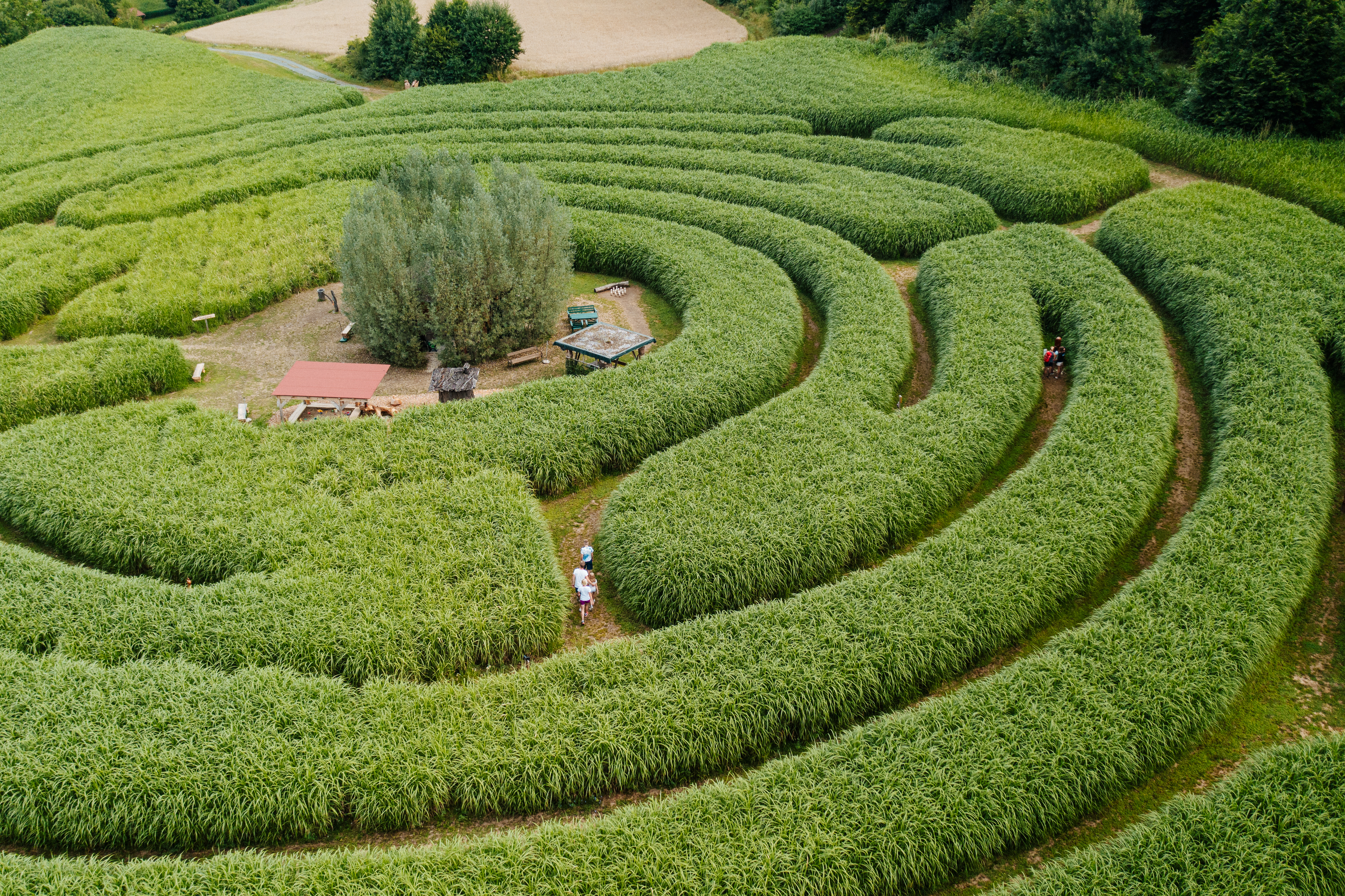 Viaggio con bambini - Südkärnten - Labyrinth im Elefantengras