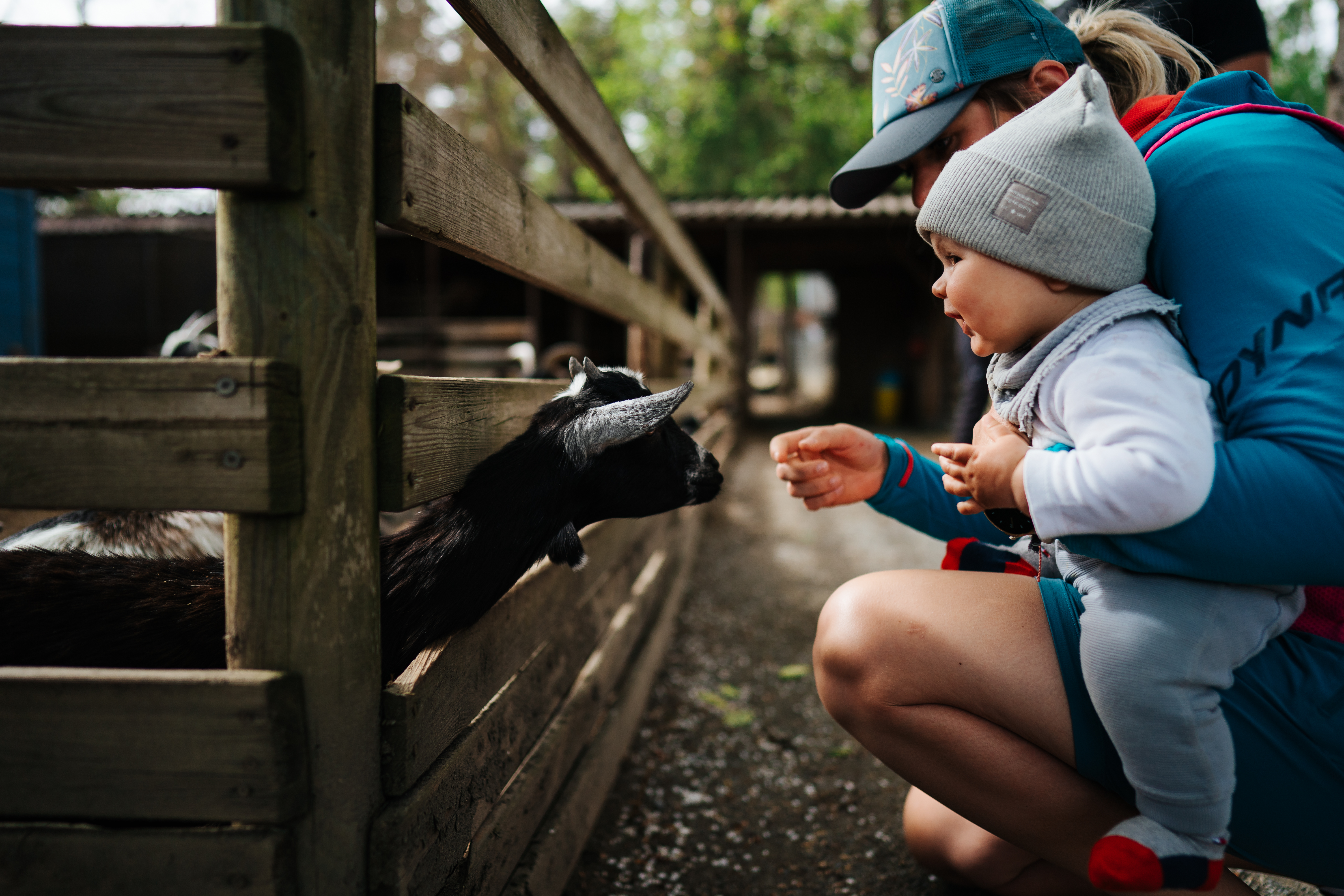 Reis met kinderen - Ausflugsziel ist: ein Tierpark - Vogelpark Turnersee