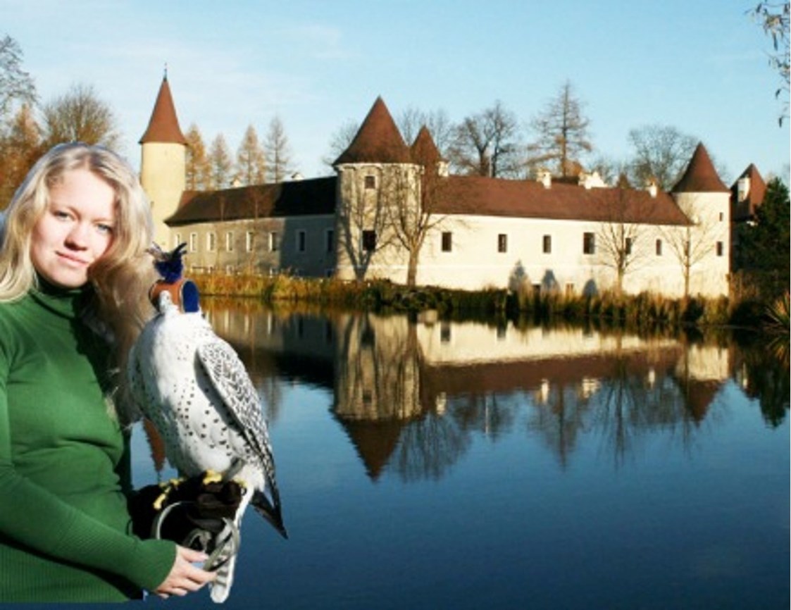 Ausflugsziel: NÖ Falknerei- & Greifvogelzentrum Schloss Waldreichs
Saison 2019: 18. April bis 13. Oktober 2019 - NÖ Falknerei- und Greifvogelzentrum Waldreichs