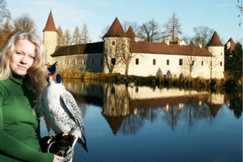 Ausflugsziel: NÖ Falknerei- & Greifvogelzentrum Schloss Waldreichs
Saison 2019: 18. April bis 13. Oktober 2019 - NÖ Falknerei- und Greifvogelzentrum Waldreichs