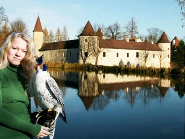 Ausflugsziel: NÖ Falknerei- & Greifvogelzentrum Schloss Waldreichs
Saison 2019: 18. April bis 13. Oktober 2019 - NÖ Falknerei- und Greifvogelzentrum Waldreichs