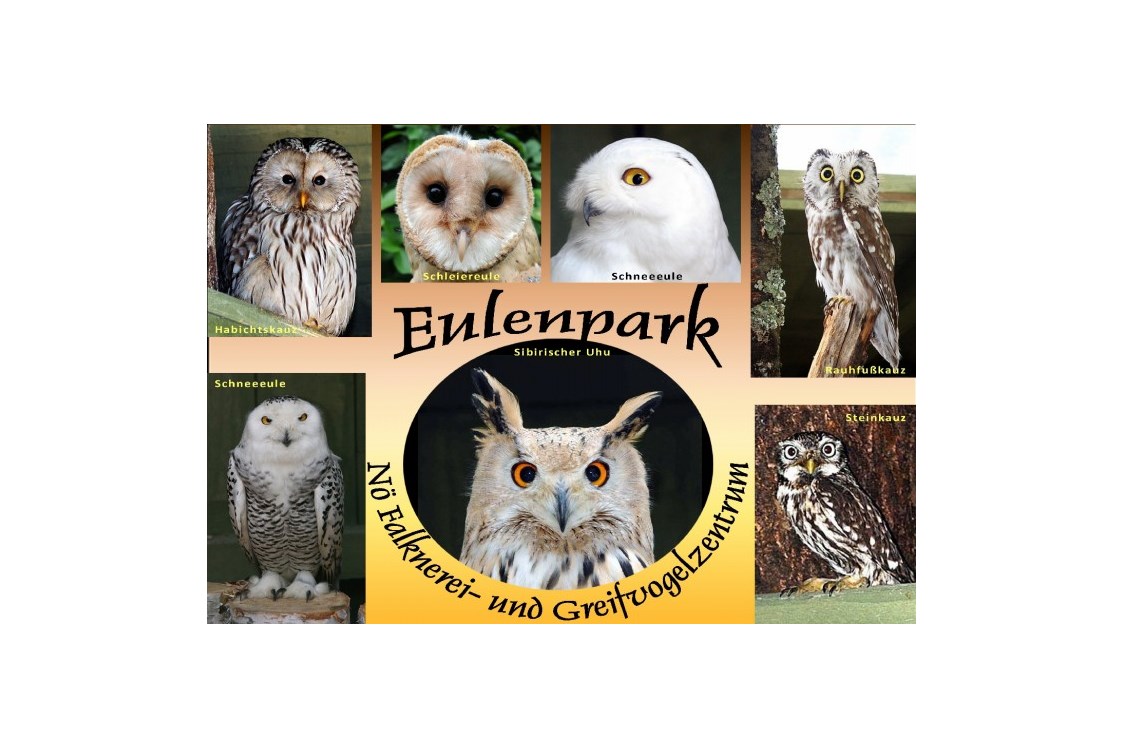 Ausflugsziel: Einzigartig ist unser Eulenpark - NÖ Falknerei- und Greifvogelzentrum Waldreichs
