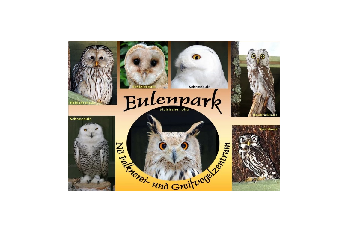 Ausflugsziel: NÖ Falknerei- und Greifvogelzentrum Waldreichs