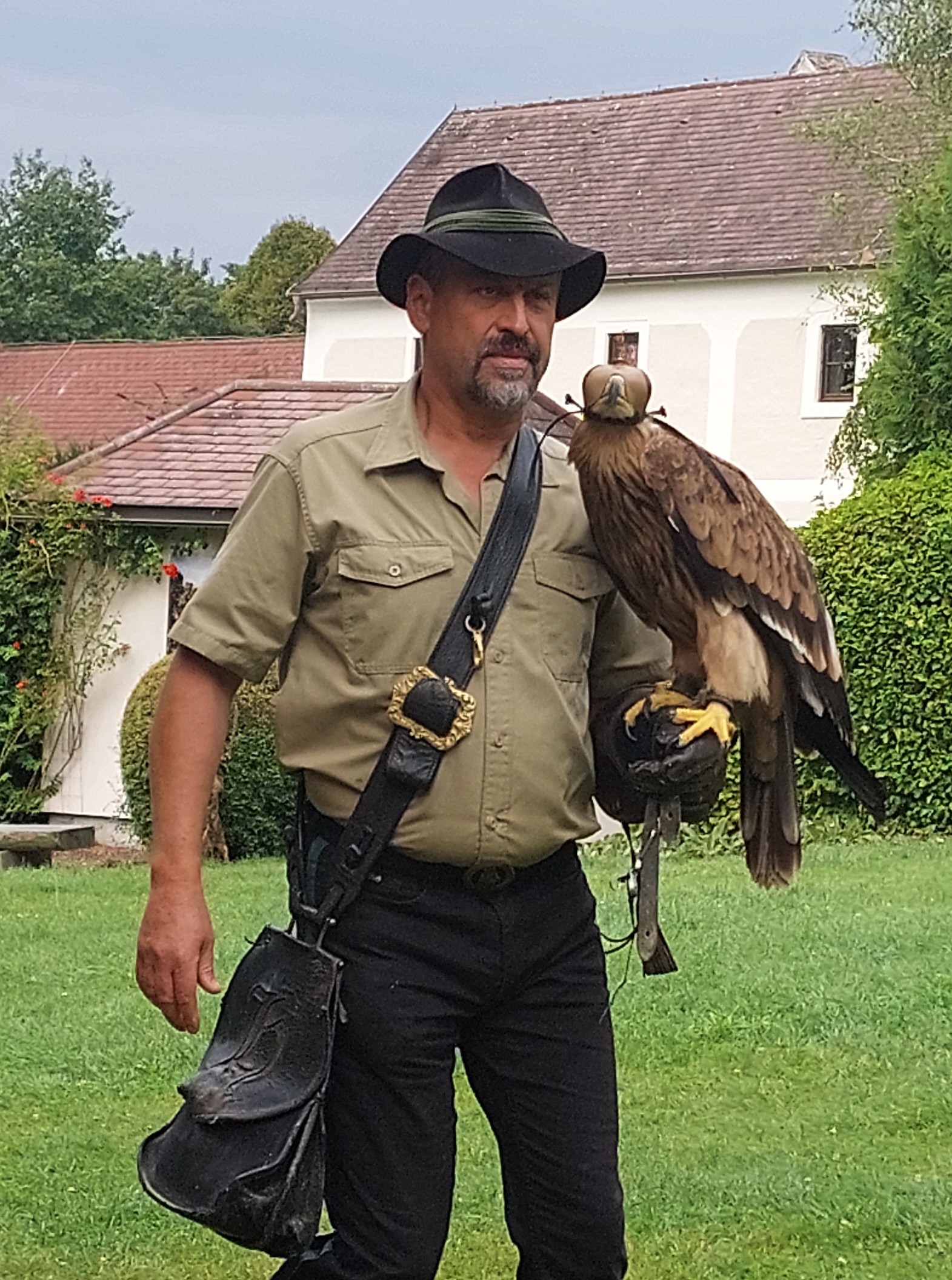 Ausflugsziel: Greifvögel ganz nah - NÖ Falknerei- und Greifvogelzentrum Waldreichs