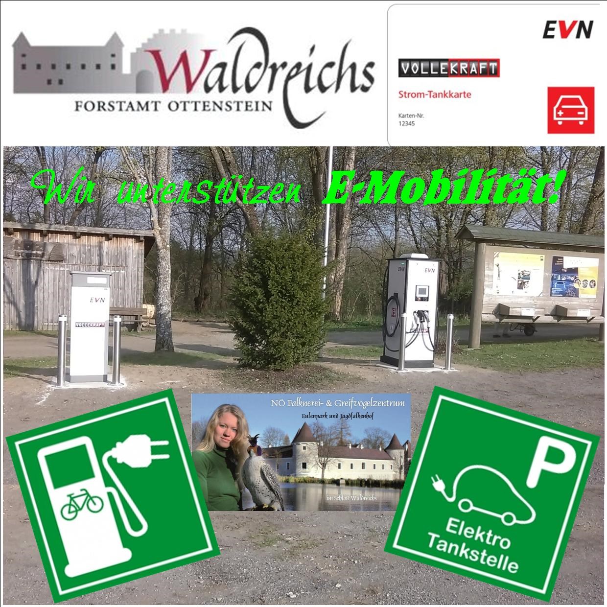 NÖ Falknerei- und Greifvogelzentrum Waldreichs Highlights beim Ausflugsziel E-Mobilität