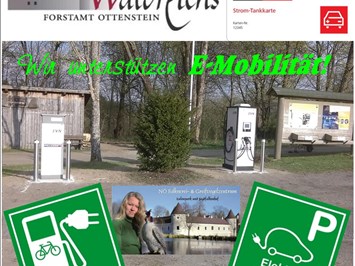 NÖ Falknerei- und Greifvogelzentrum Waldreichs Highlights beim Ausflugsziel E-Mobilität