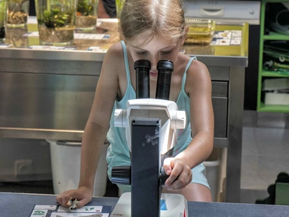 Reis met kinderen - Wickeltisch - Mikroskopieren - Naturpark Hochmoor - Unterwasserreich Schrems