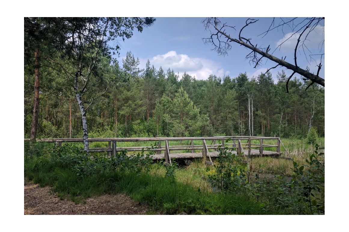 Ausflugsziel: Naturpark Hochmoor  - Naturpark Hochmoor - Unterwasserreich Schrems