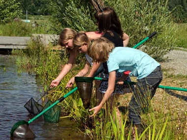 Ausflugsziel: Keschern - Naturpark Hochmoor - Unterwasserreich Schrems