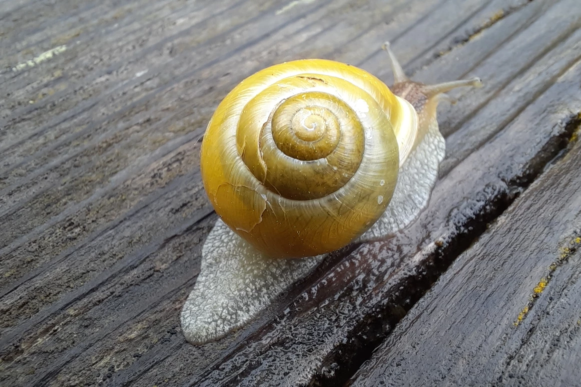 Ausflugsziel: Naturpark Hochmoor - Unterwasserreich Schrems
