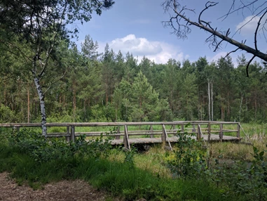 Ausflugsziel: Naturpark Hochmoor - Unterwasserreich Schrems