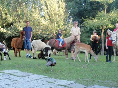 Ausflugsziel: Wirtshaus Nattererboden