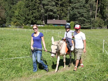 Wirtshaus Nattererboden Highlights beim Ausflugsziel Reiten und Spazierengehen mit Esel und Pony 