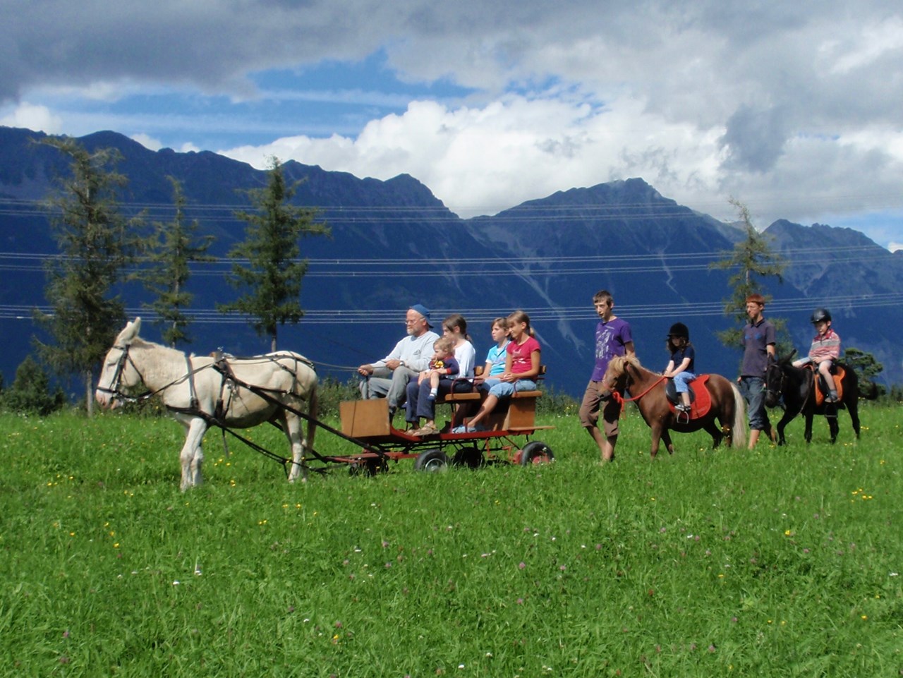 Wirtshaus Nattererboden Highlights beim Ausflugsziel Kutschenfahrt mit weißem Esel 