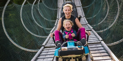 Ausflug mit Kindern - Kremsbrücke - Panoramabahn, Nocky´s AlmZeit & Nocky Flitzer