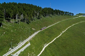 Ausflugsziel: Zahnradbahn Mnte Generoso - Monte Generoso - Fiore di pietra