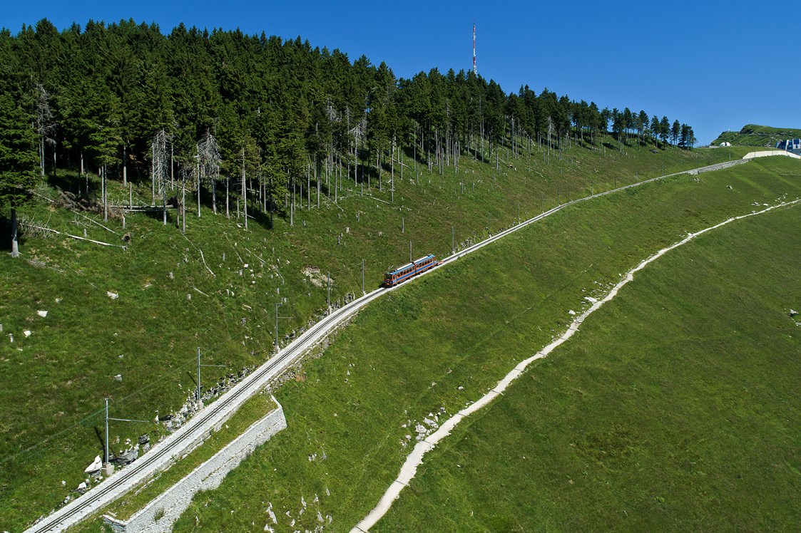 Ausflugsziel: Zahnradbahn Mnte Generoso - Monte Generoso - Fiore di pietra
