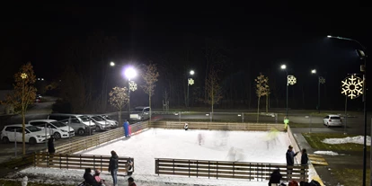 Ausflug mit Kindern - Winterausflugsziel - Niederösterreich - Eislaufplatz Felixdorf