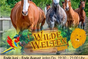 Ausflugsziel: Pferdeshow "Wilde Welten"