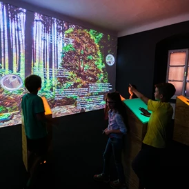 Ausflugsziel: Sie können den Wald interaktiv zum Leben erwecken - NaturLese-Museum Neumarkt