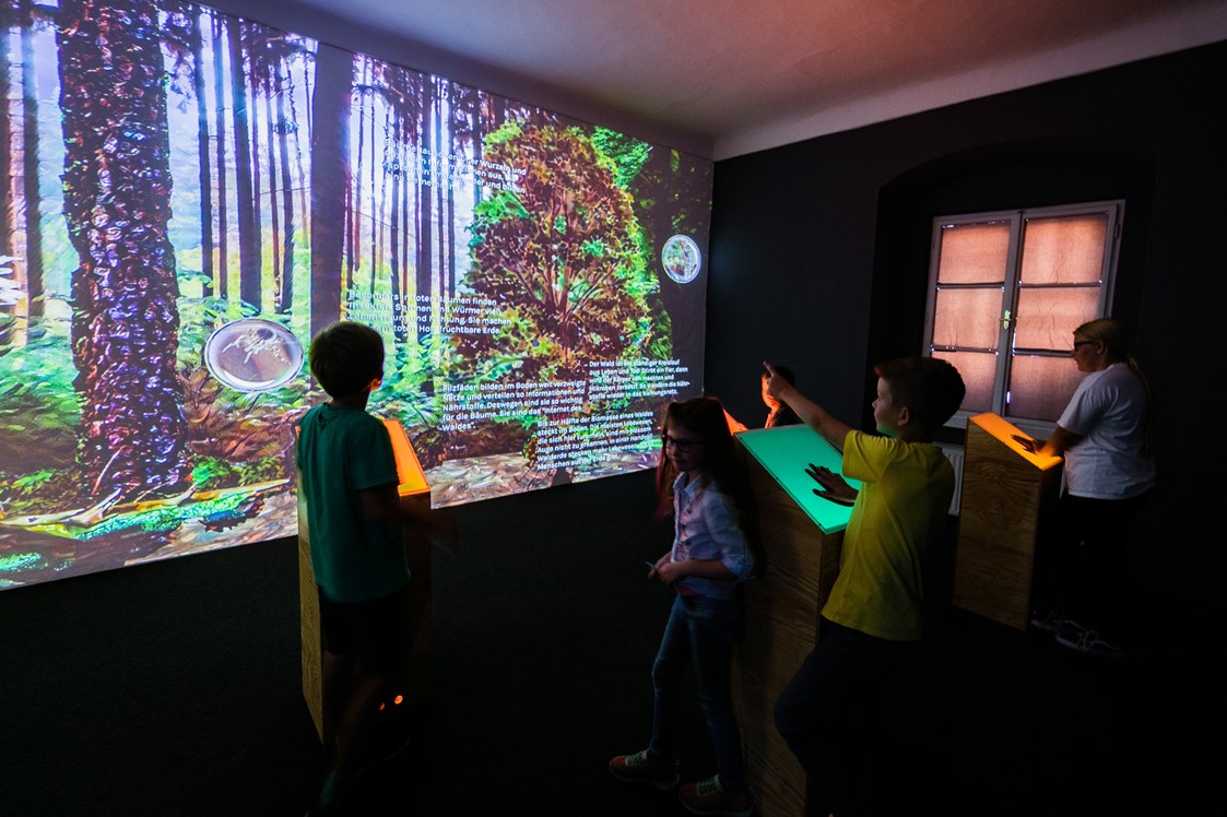Ausflugsziel: Sie können den Wald interaktiv zum Leben erwecken - NaturLese-Museum Neumarkt